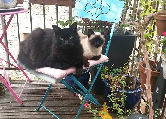 Les Des Artistes 招待所 *